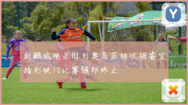 新鹏城绝杀时刻奥乌苏助攻胡睿宝精彩破门比赛随即终止