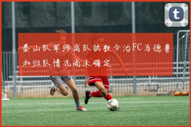 泰山队军师离队执教今治FC马德鲁加归队情况尚未确定